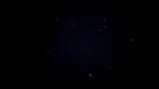 IMG 2728 IMG 2728