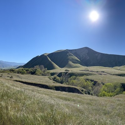 WIND WOLVES PRESERVE