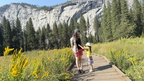 IMG 033254