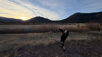 IMG 001992 IMG 001992