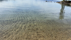 IMG 002329