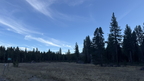 IMG 002433