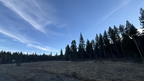 IMG 002511