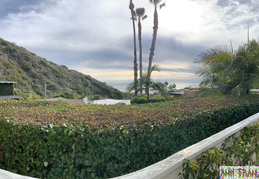 IMG 0810 2
