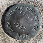 IMG 000871