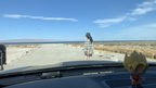 IMG 1744