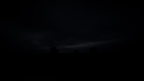 IMG 4551