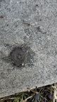 IMG 4826